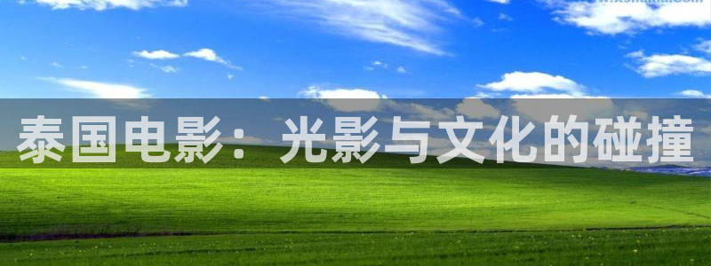 与君歌西瓜影院免费观看