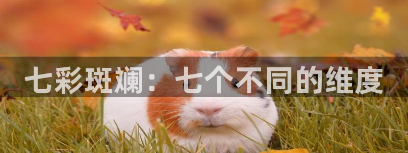 大西瓜午夜电影